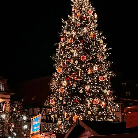 דירה Cosy 2p - Parking - Tram - Marche De Noel A 20min אוסטוולד